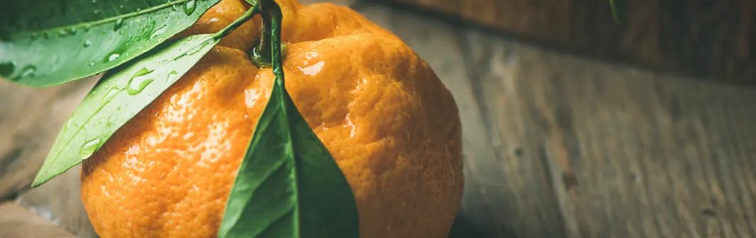 Citrus notes — a fresh mandarin with glossy green leaves