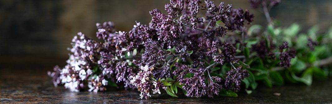 Aromatic notes — a bunch of fresh lavender and herbs