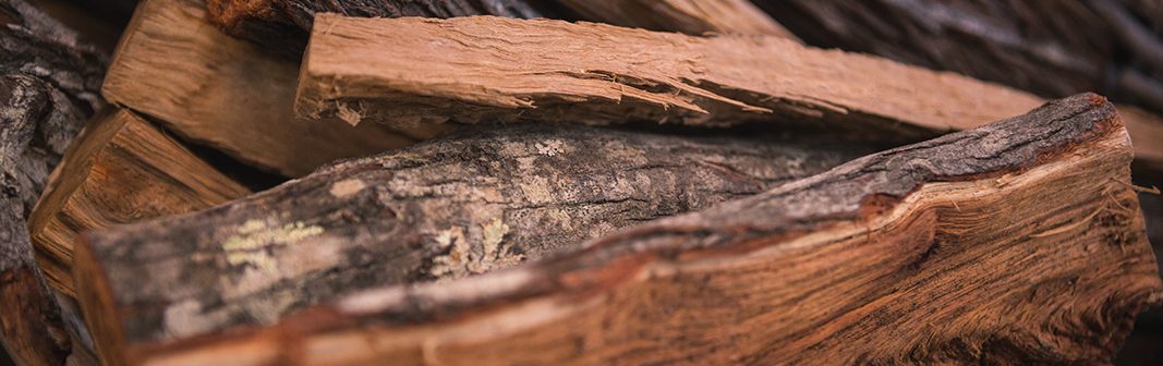 Woody notes — stacked cut wood logs